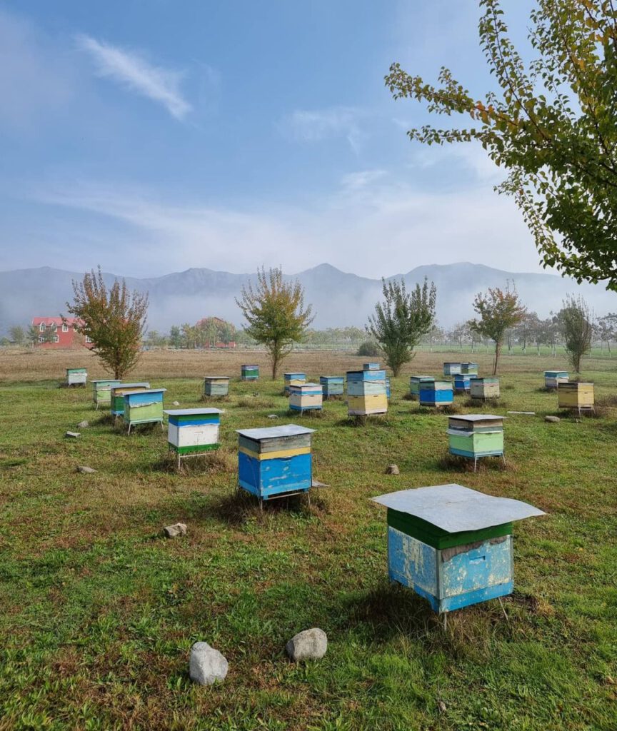 azerbaycanda gezmeli yerler - Bal evi Ləkit